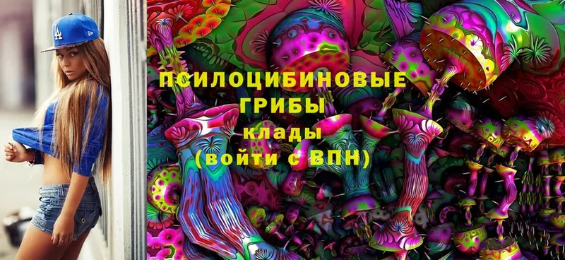 Галлюциногенные грибы Magic Shrooms  Добрянка 